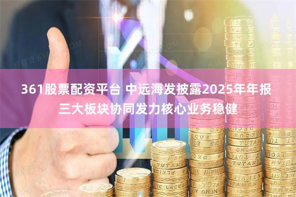 361股票配资平台 中远海发披露2025年年报 三大板块协同发力核心业务稳健